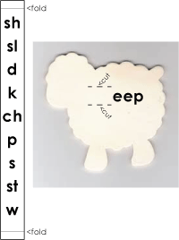 tachistoscopt sheep